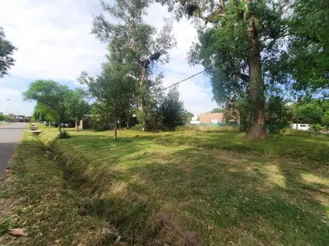 Venta Terreno Barrio Tango Esquina Arboles Añejos Permuta 