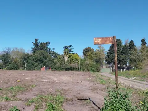 Maestra Lucía Rueda 2200