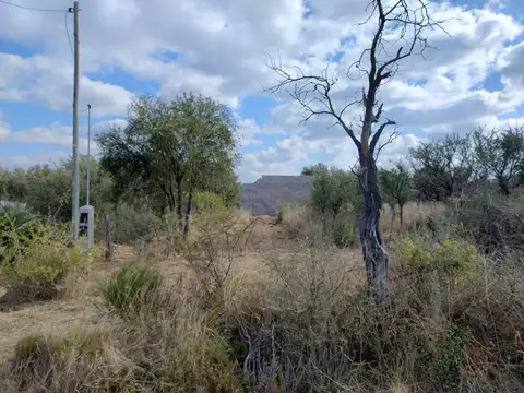 Calle N°35 100