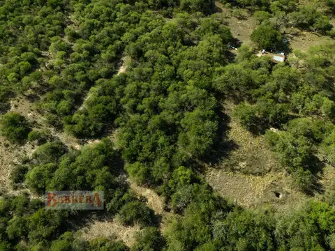 Campo 1 Ha 1,6 km de ruta 5 y 6,7 km entrada Villa de Merlo