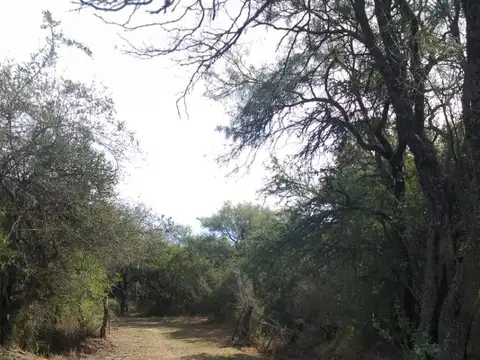 A 1,6 Km De Ruta 5