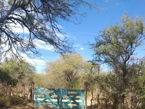 Campo 1 Ha 1,6 km de ruta 5 y 6,7 km entrada Villa de Merlo