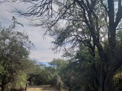 Campo 1 Ha 1,6 km de ruta 5 y 6,7 km entrada Villa de Merlo