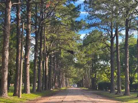 Terreno en Venta de 600,0 m2