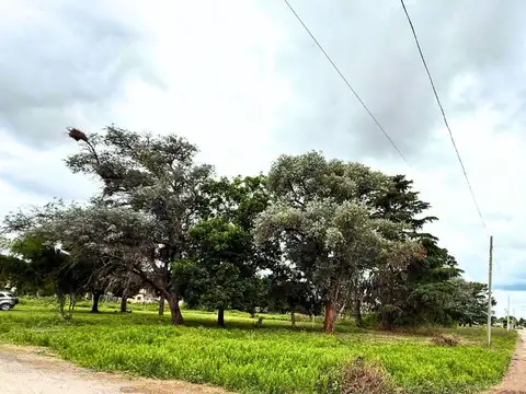 Terreno en San Pedro