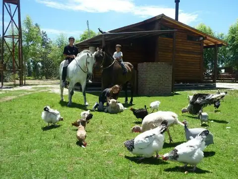 Complejo Turístico de 6 Hectareas con 8 Cabañas!