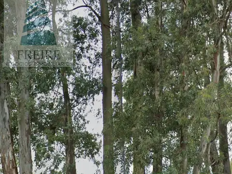 Terreno en Venta en Zarate, USD 700.000