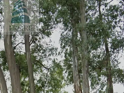 Camino km 103