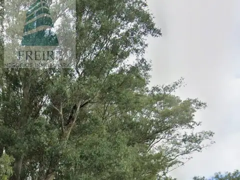 Camino km 103