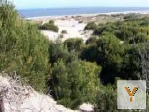 Campo en venta - 154 Hectáreas - Santa Vitória do Palmar, Río Grande Do Sur