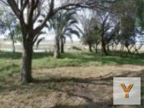 Campo en venta - 154 Hectáreas - Santa Vitória do Palmar, Río Grande Do Sur