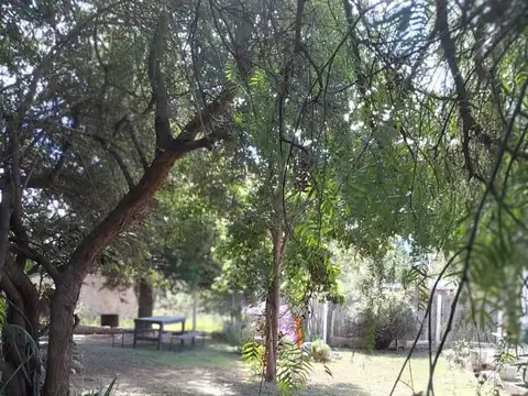 Maestro Quevedo e/ San Martin y Rivadavia