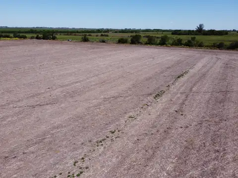 215  has campo agrícola ganadero