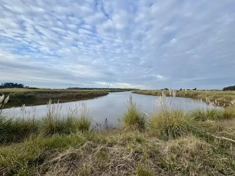 Avenida Pereda s/n, Máximo Paz, Cañuelas Buenos Aires, Argentina