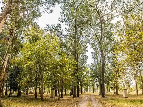Terreno en Lagunas del Golf