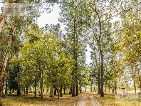 Terreno en Lagunas del Golf