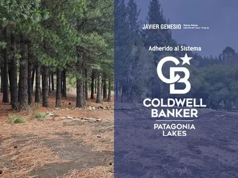 Terreno en Venta en San Martin de los Andes, Lácar