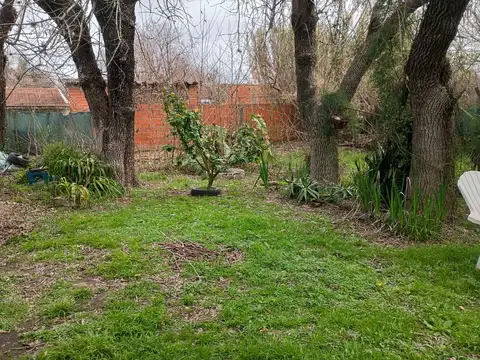 de marco 100