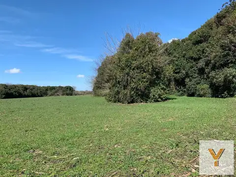 Campo en venta - 32.165Mts2 - Mercedes