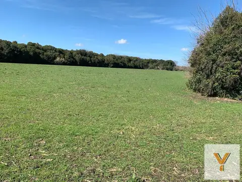 Campo en venta - 32.165Mts2 - Mercedes