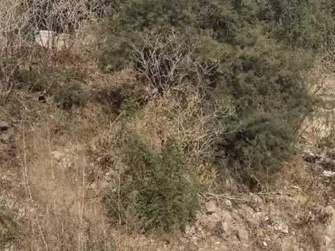 Lote en Carlos Paz cerca del Centro 