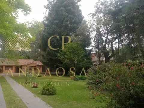Dr. Pedro Arata 2200