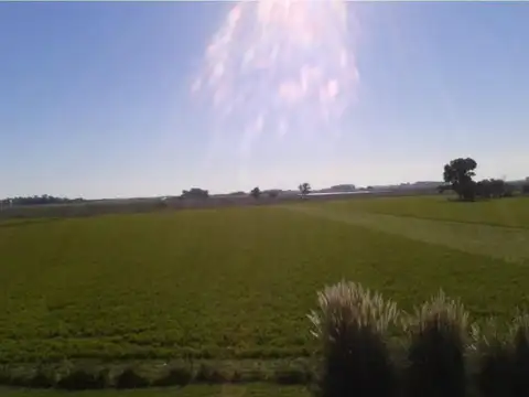Campo en Venta en Ranchos, Partido de General Paz
