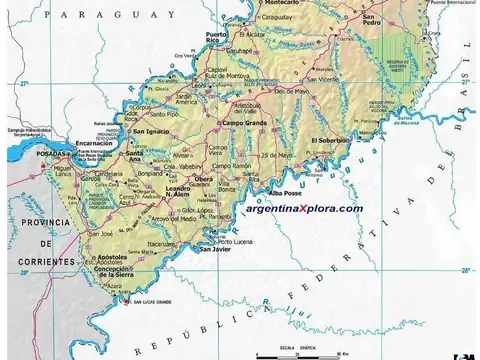 MISIONES - SAN PEDRO CAMPO 77 HAS. FORESTADO