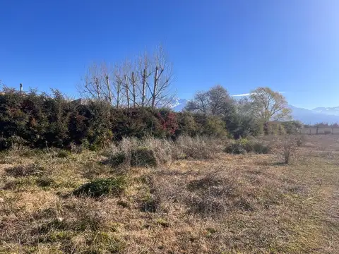 Terreno en La Consulta