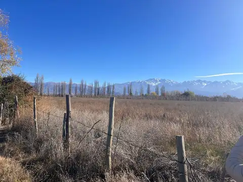 Terreno en Venta en La Consulta, USD 25.000