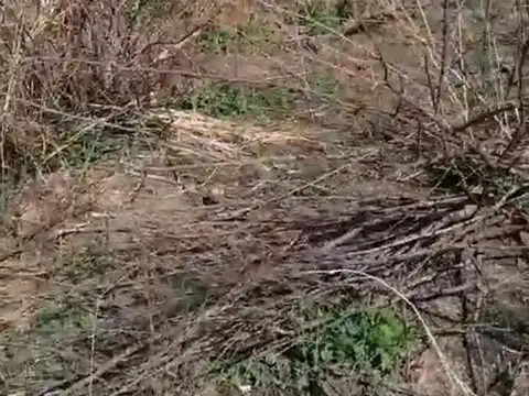 VENTA TERRENO 3200 M2, COLONIA SAN JOSE