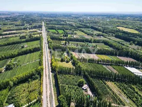 VENTA CHACRA 5HAS MARGEN RIO NEUQUEN, CENTENARIO