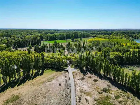 VENTA CHACRA 5HAS MARGEN RIO NEUQUEN, CENTENARIO