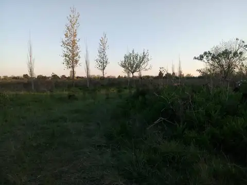 Campo en Venta de 10  ha