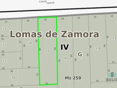 Linch al 3335