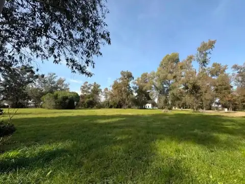 Pinares Cc - Lote 500