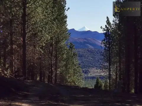 Terreno en Venta en San Martin de los Andes, Lácar