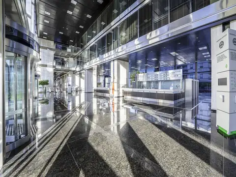 Cecilia Grierson al 300