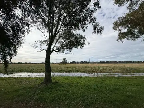 Terreno en Venta de 17254,0 m2