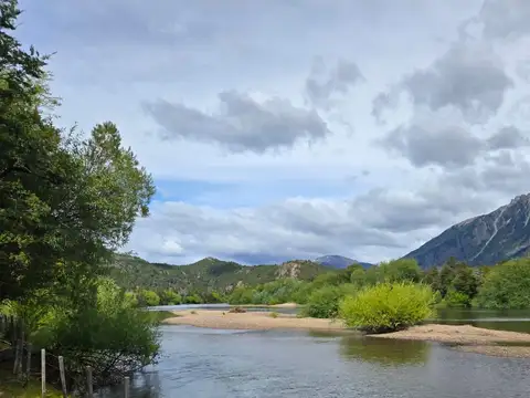 cholila