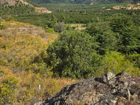 Campo de 220 has con costa de Río Carrileufu