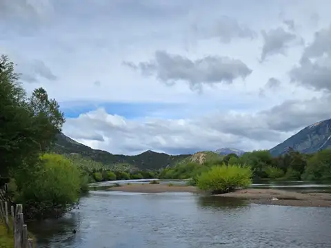 cholila