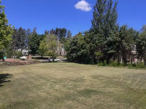 Terreno en Venta 44  mts Fondo