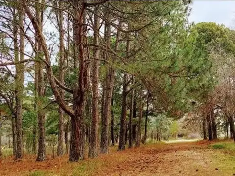 Terreno en Venta en Parque Exaltacion, USD 38.000