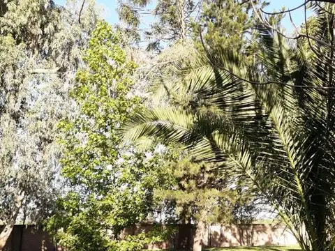 Quinta en Venta en Casilda, USD 240.000