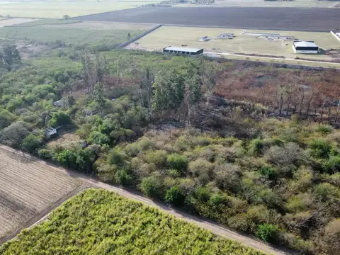 Ruta 9 km 1281, San Andrés, Dpto. Cruz Alta, Tucumán