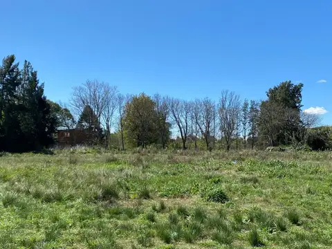 Terreno en Venta en Villa Elvira, USD 90.000