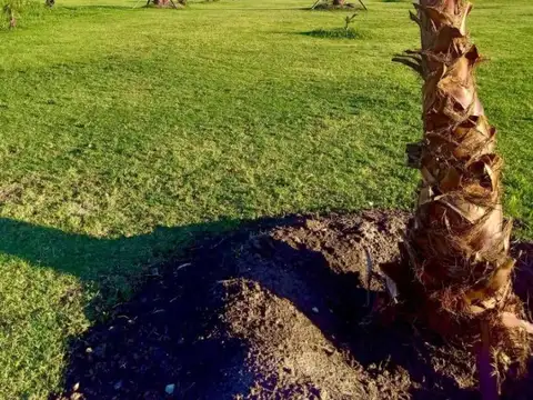 Terreno en Alquiler de 15000,0 m2