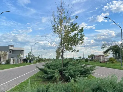 Terreno en EcoTierra