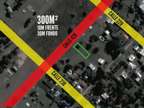 Terreno en venta - 300mts2- El Pato